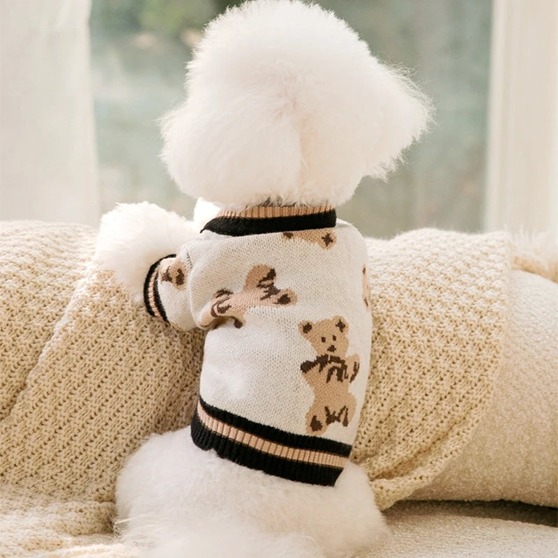 Adorable dog wearing a cute knitted dog coat for winter, featuring a bear design