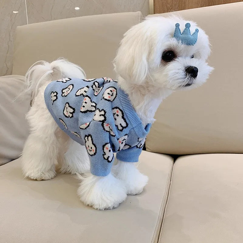 Adorable puppy wearing a cute knitted dog coat for winter with a playful design