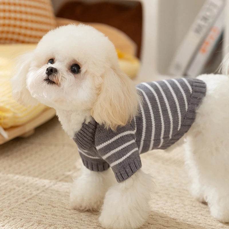 Cute knitted dog coat for winter in gray and white stripes for small dogs