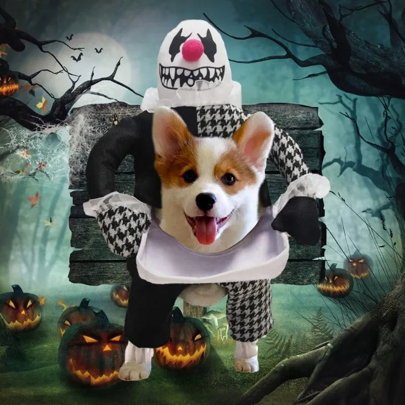 Cute dog wearing a devil dog Halloween costume with clown-like features and spooky background