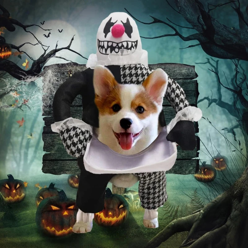 Cute dog wearing a devil dog Halloween costume with a playful expression in a spooky setting