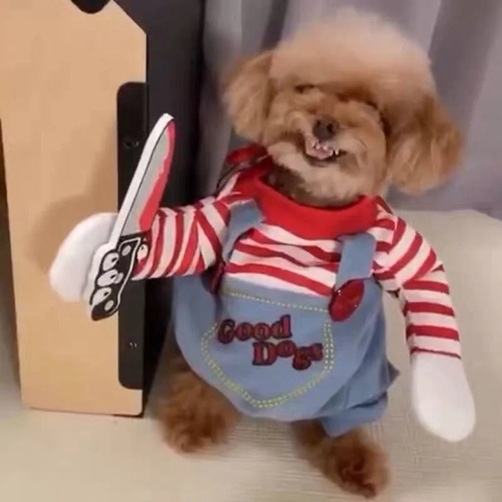 Cute dog in striped costume and hat, part of a dog and cat party costume set for festive occasions