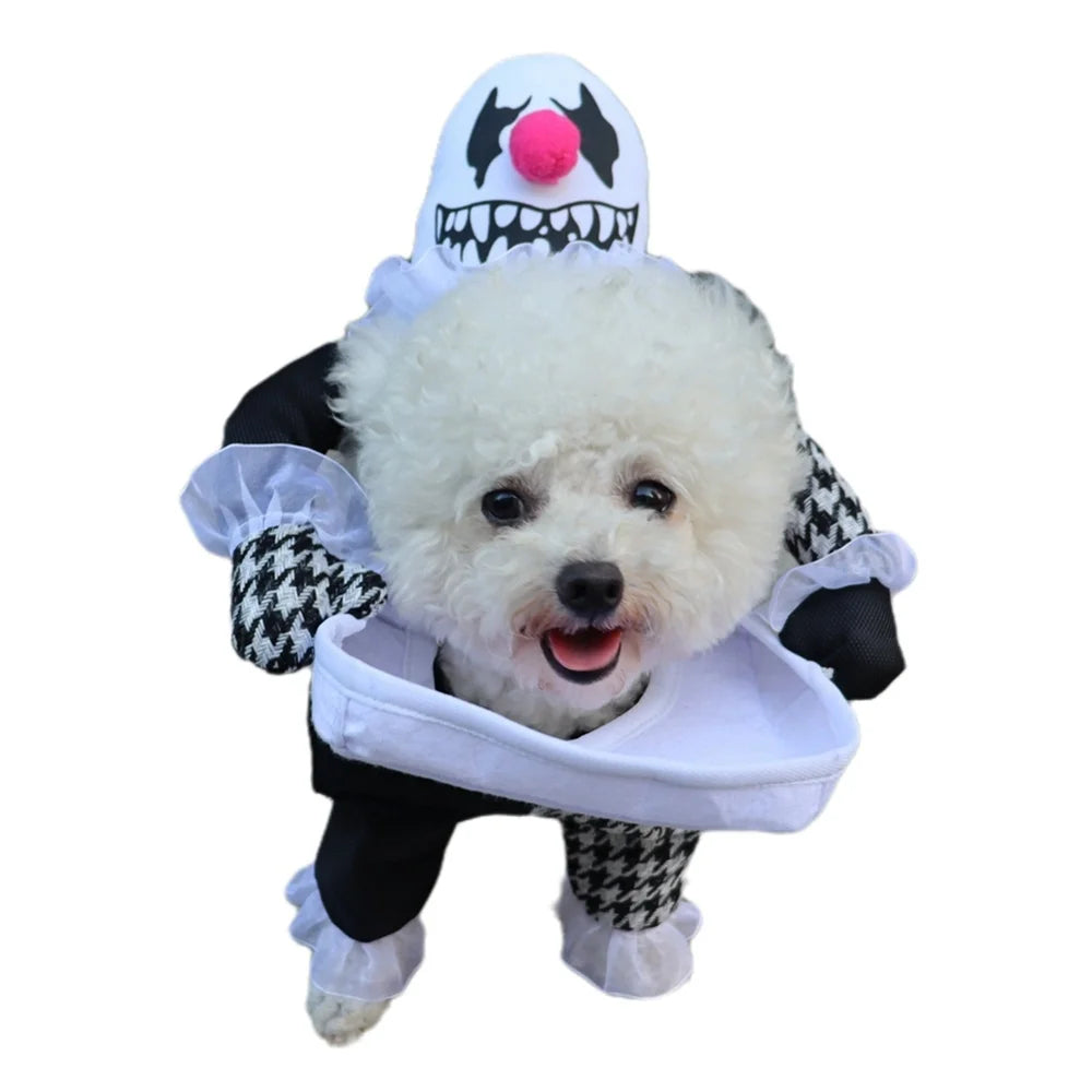 Adorable dog in clown costume from the dog and cat party costume set by Zoomies & Co