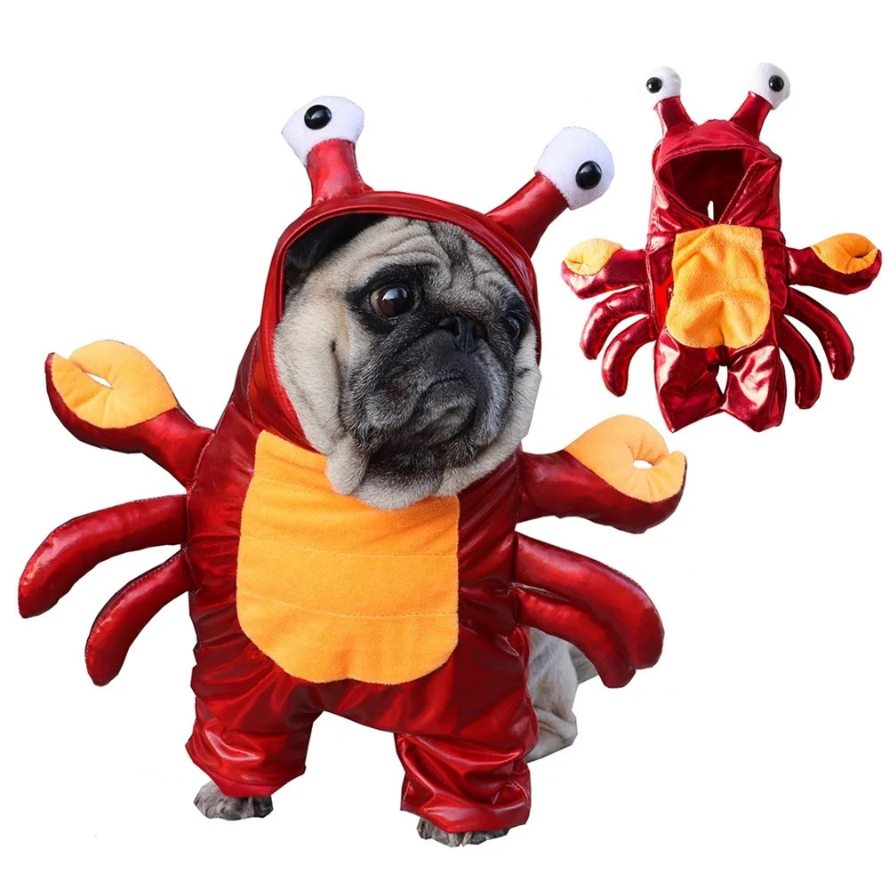 Adorable dog wearing a crab costume from the dog and cat party costume set by Zoomies & Co