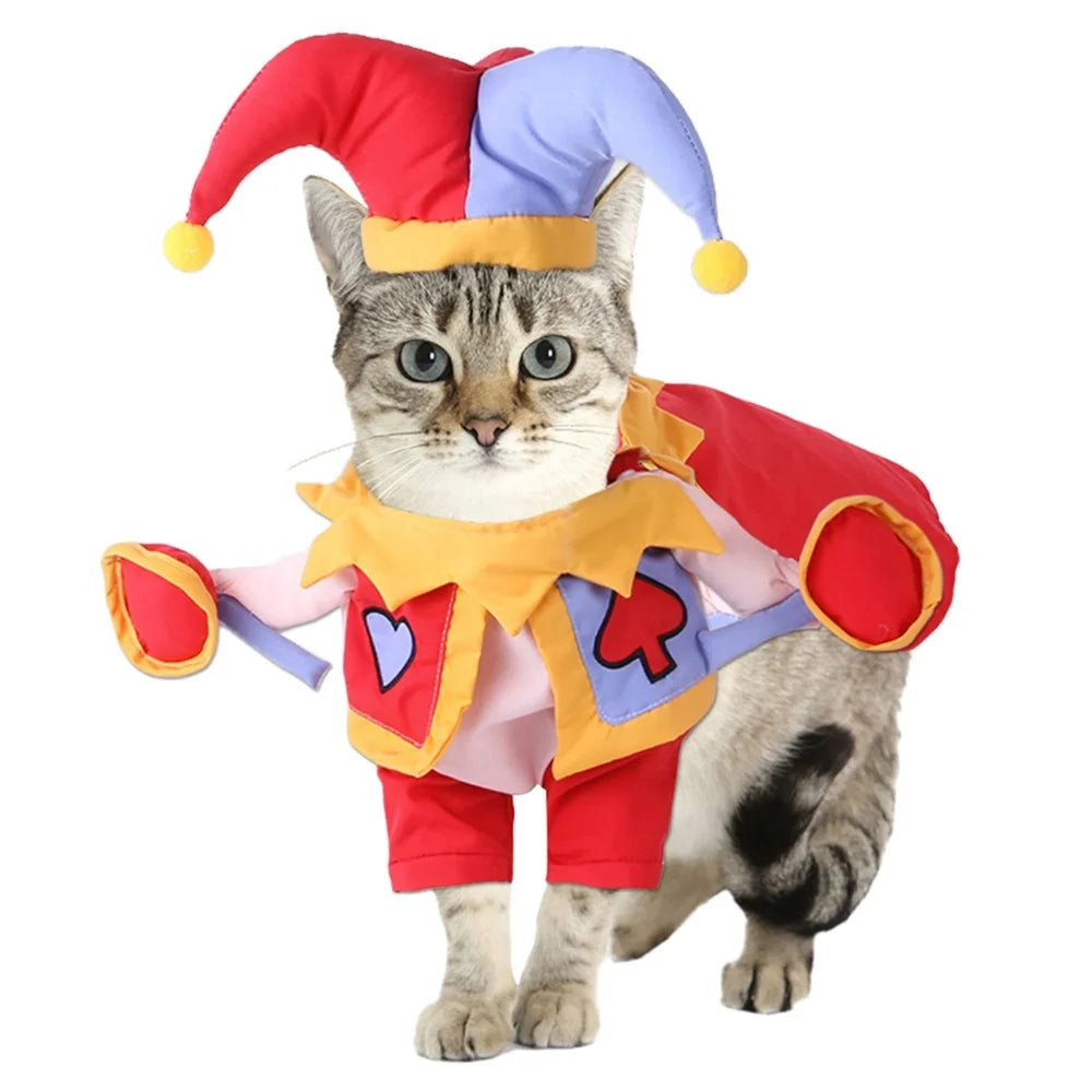 Adorable cat wearing a jester costume from the dog and cat party costume set by Zoomies & Co