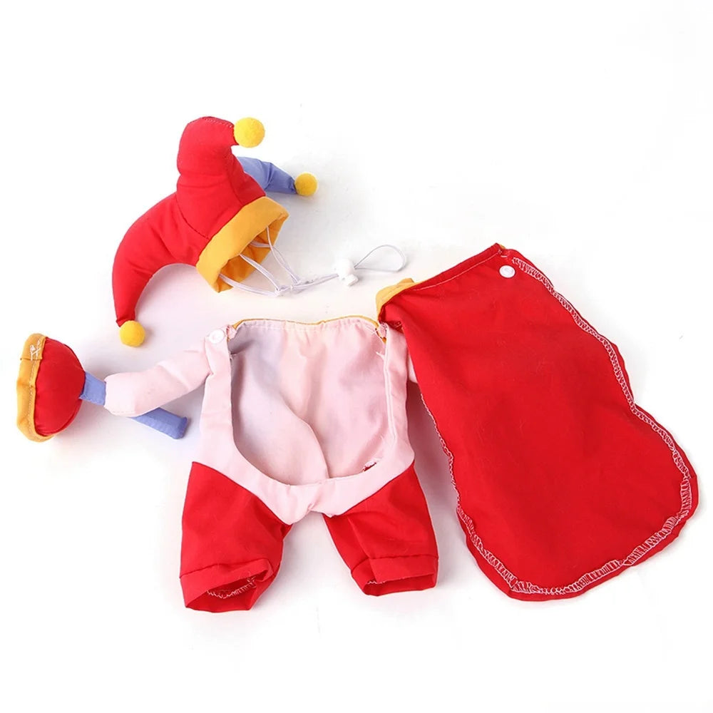 Zoomies & Co dog and cat party costume set with jester hat and colorful outfit for playful pets
