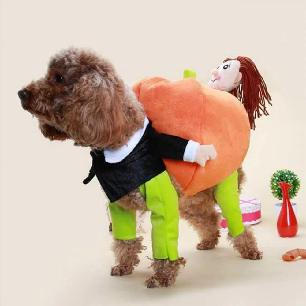 Adorable dog and cat party costume set featuring a pumpkin design and vibrant colors for festive celebrations