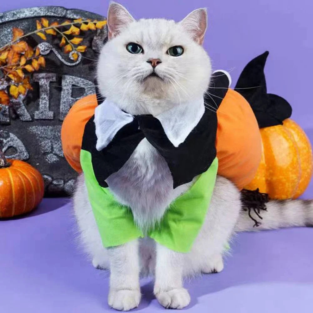 Dog and cat party costume set featuring a cat in a pumpkin and tuxedo outfit for festive celebrations
