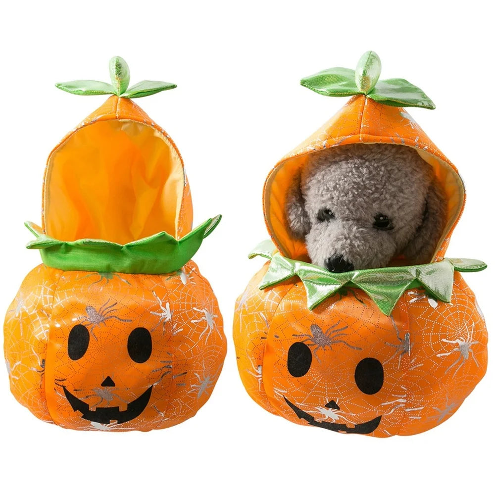 Adorable dog and cat party costume set featuring orange pumpkin outfits with cute faces