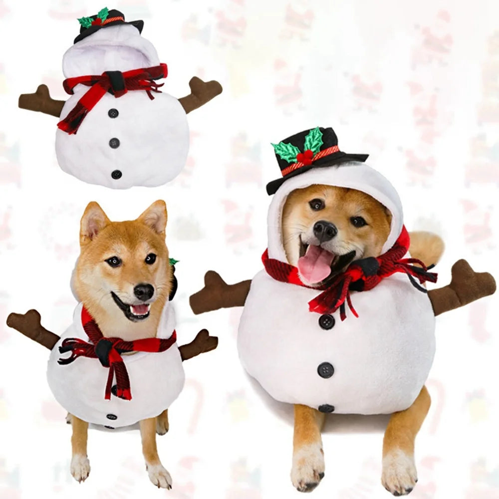 Adorable dog in a snowman costume from Zoomies & Co for the dog and cat party costume set