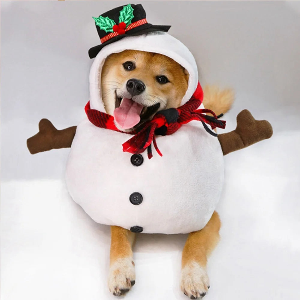 Zoomies & Co Dog and Cat Party Costume Set with Snowman Design for Festive Pet Celebrations