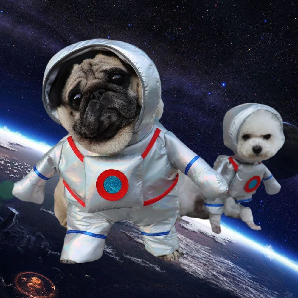Adorable dog and cat party costume set featuring pets in shiny space suits for a cosmic celebration