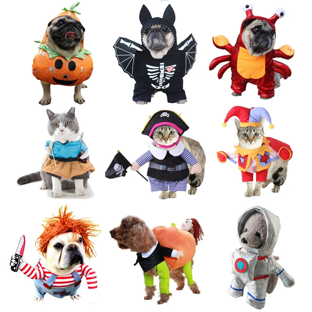 Colorful dog and cat party costume set featuring various playful outfits for pets