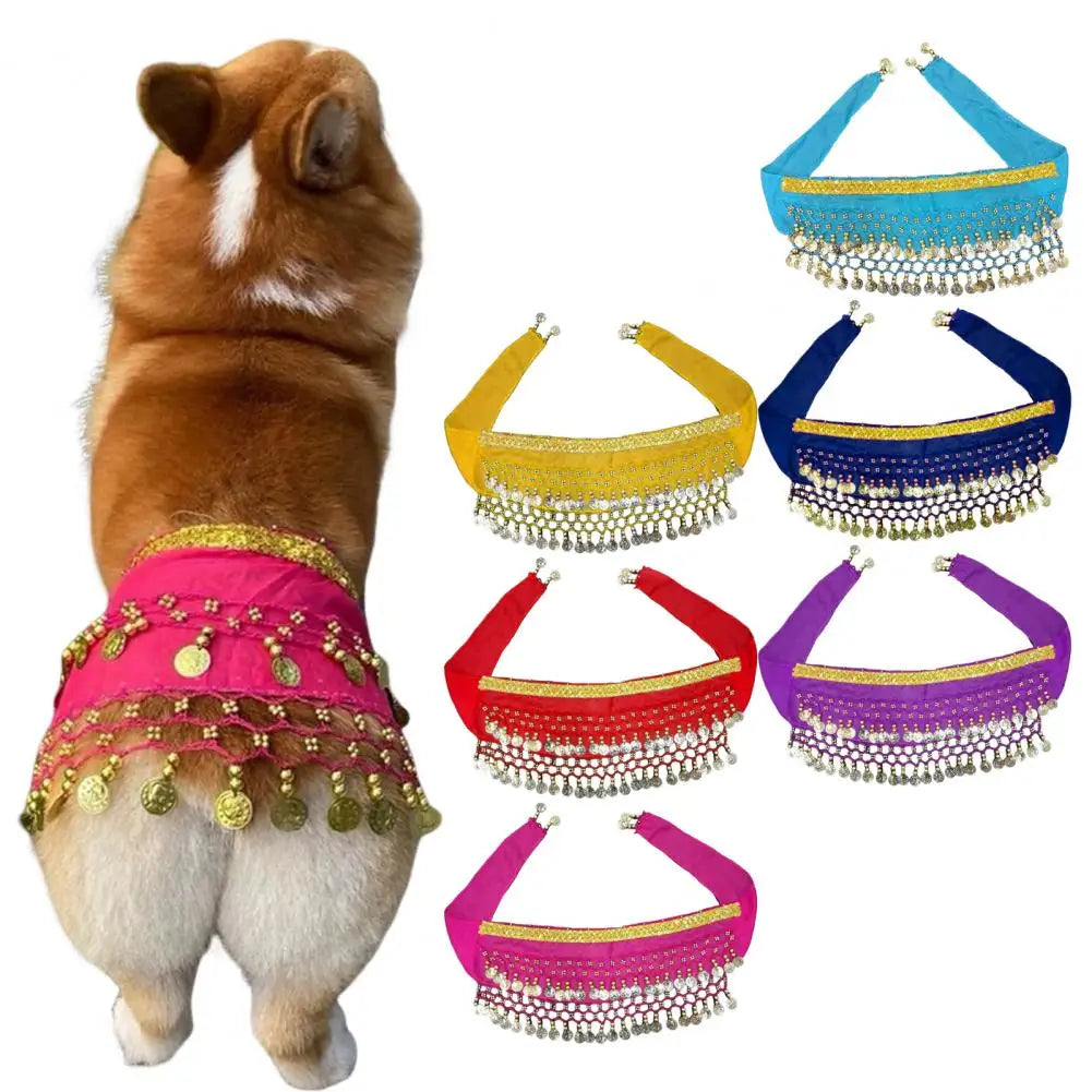 Colorful dog belly dance costume with coins, perfect for festive occasions and pet celebrations