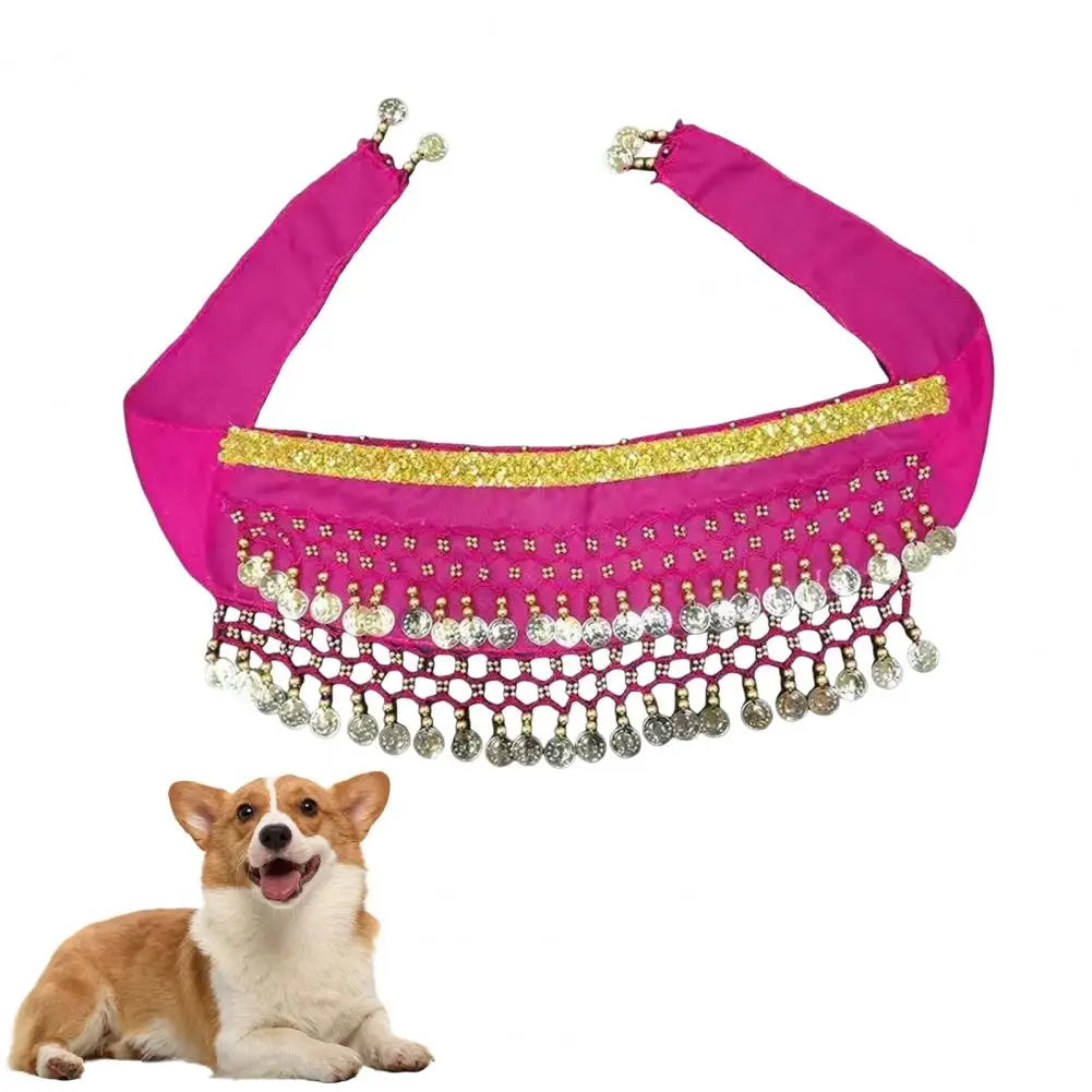 Bright pink dog belly dance costume with glittering embellishments for festive pet occasions