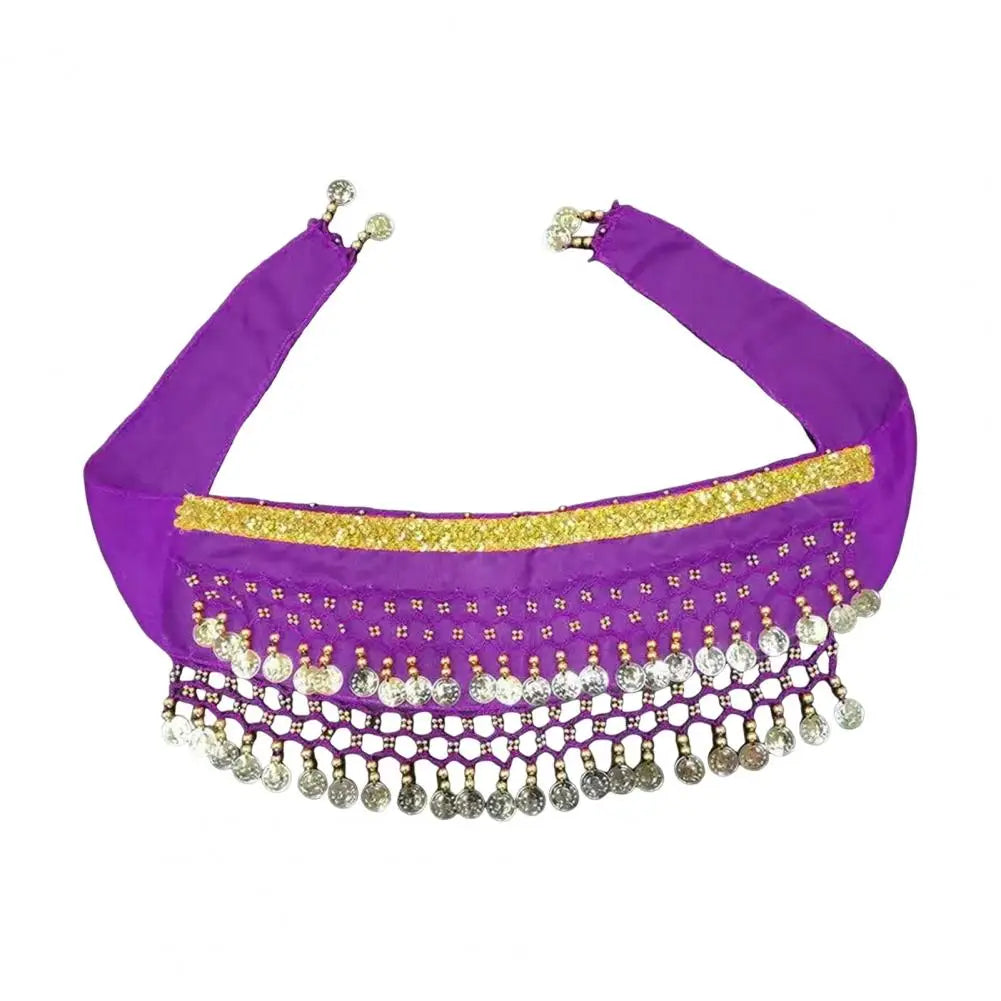 Purple dog belly dance costume with shimmering beads and sequins for playful pets