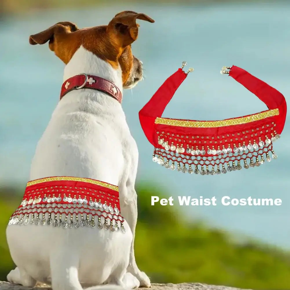 Adorable dog belly dance costume in red with decorative sequins for festive pet celebrations