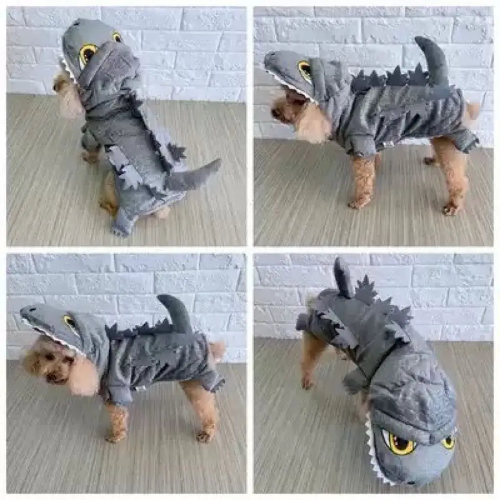 Zoomies & Co Shark Pet Costume for Dogs with Realistic Shark Fin and Teeth Design