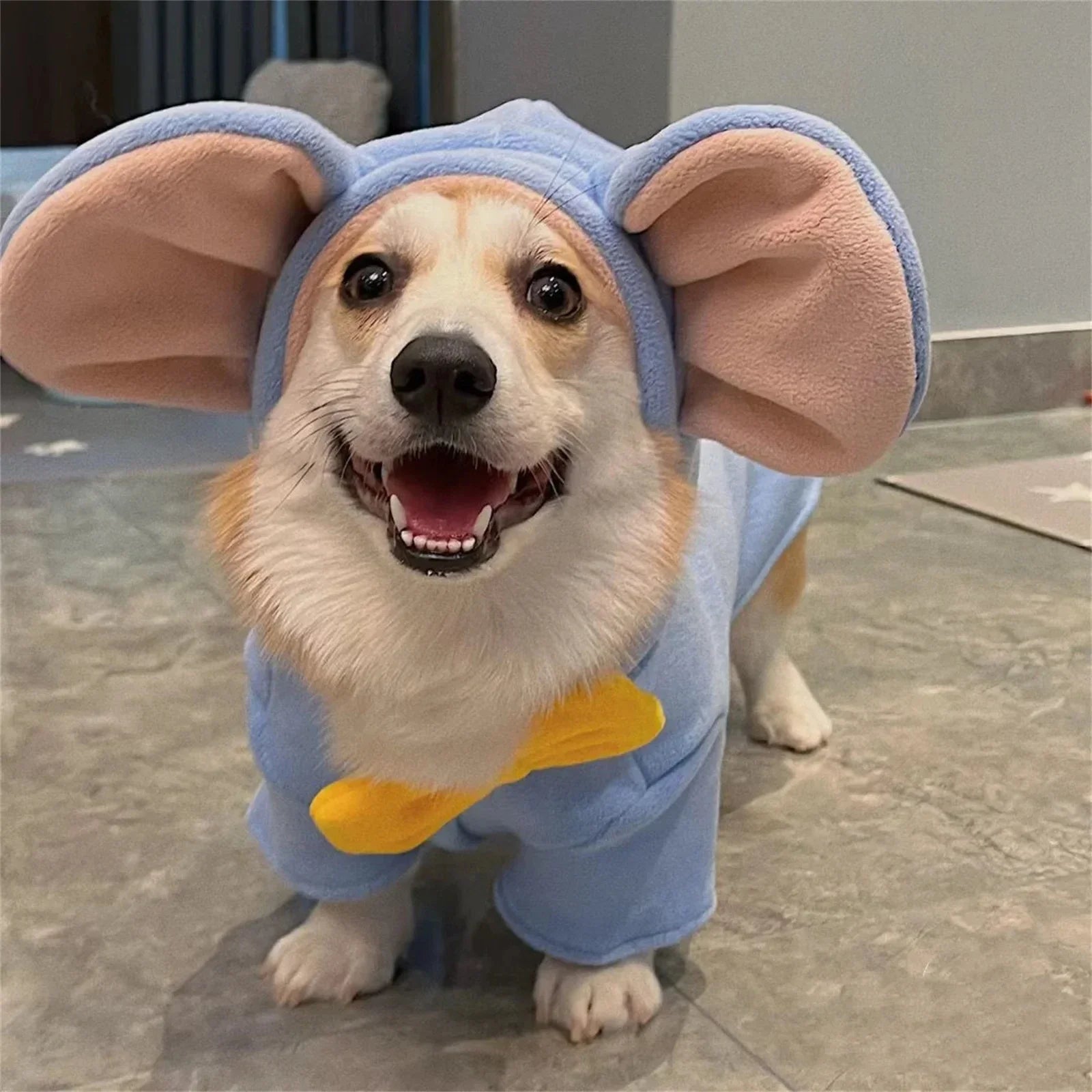 Cute dog in a blue dog elephant costume with large ears and a bow tie, perfect for pet celebrations