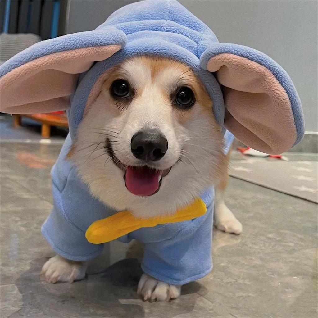 Cute dog wearing a light blue dog elephant costume with big ears and a yellow bowtie