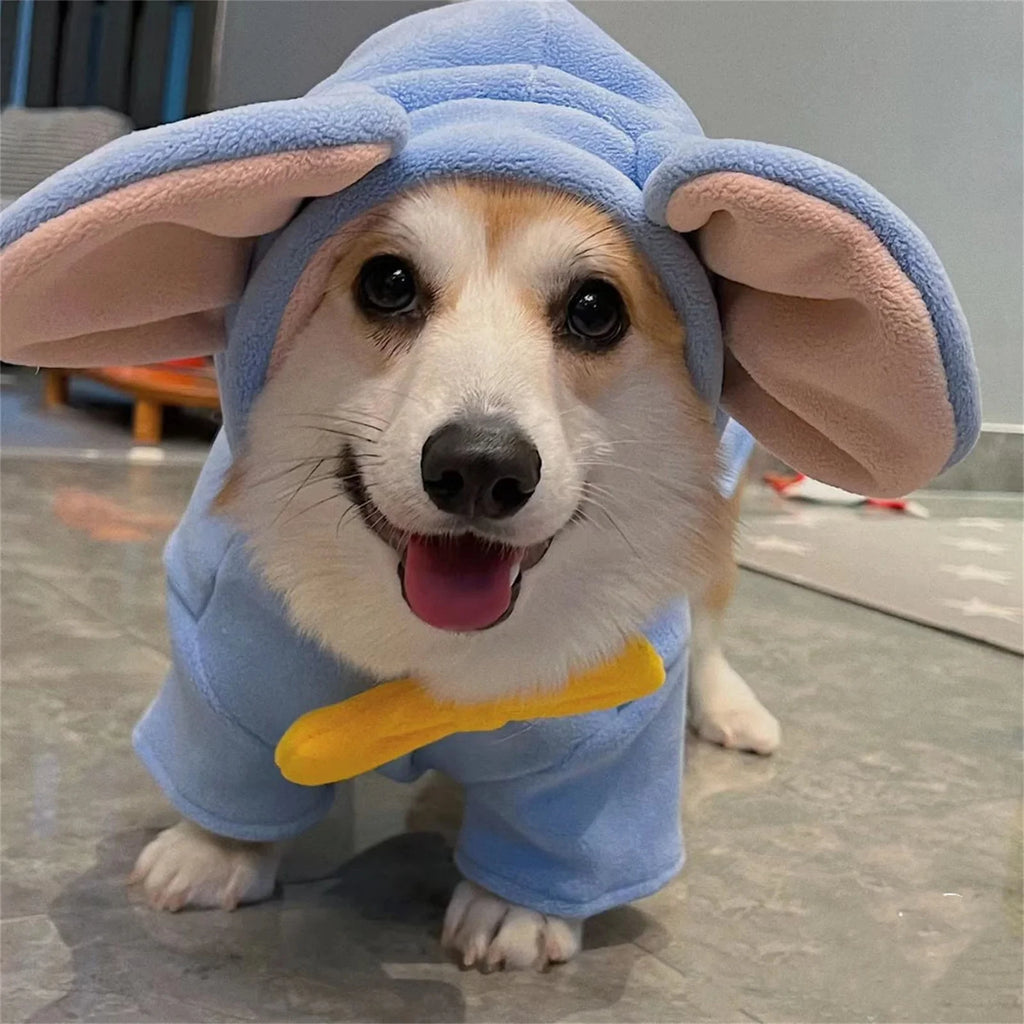 Adorable dog wearing a blue dog elephant costume with large floppy ears and a cheerful expression