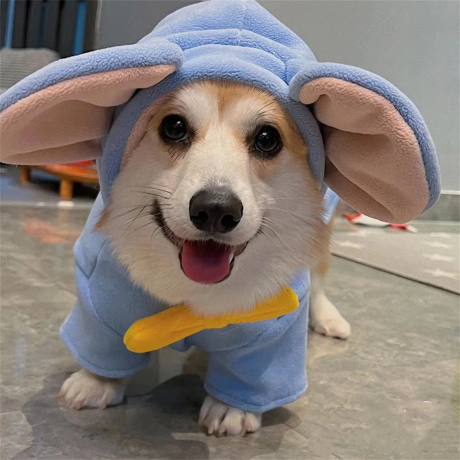 Adorable dog wearing a blue dog elephant costume with large floppy ears and a cheerful expression