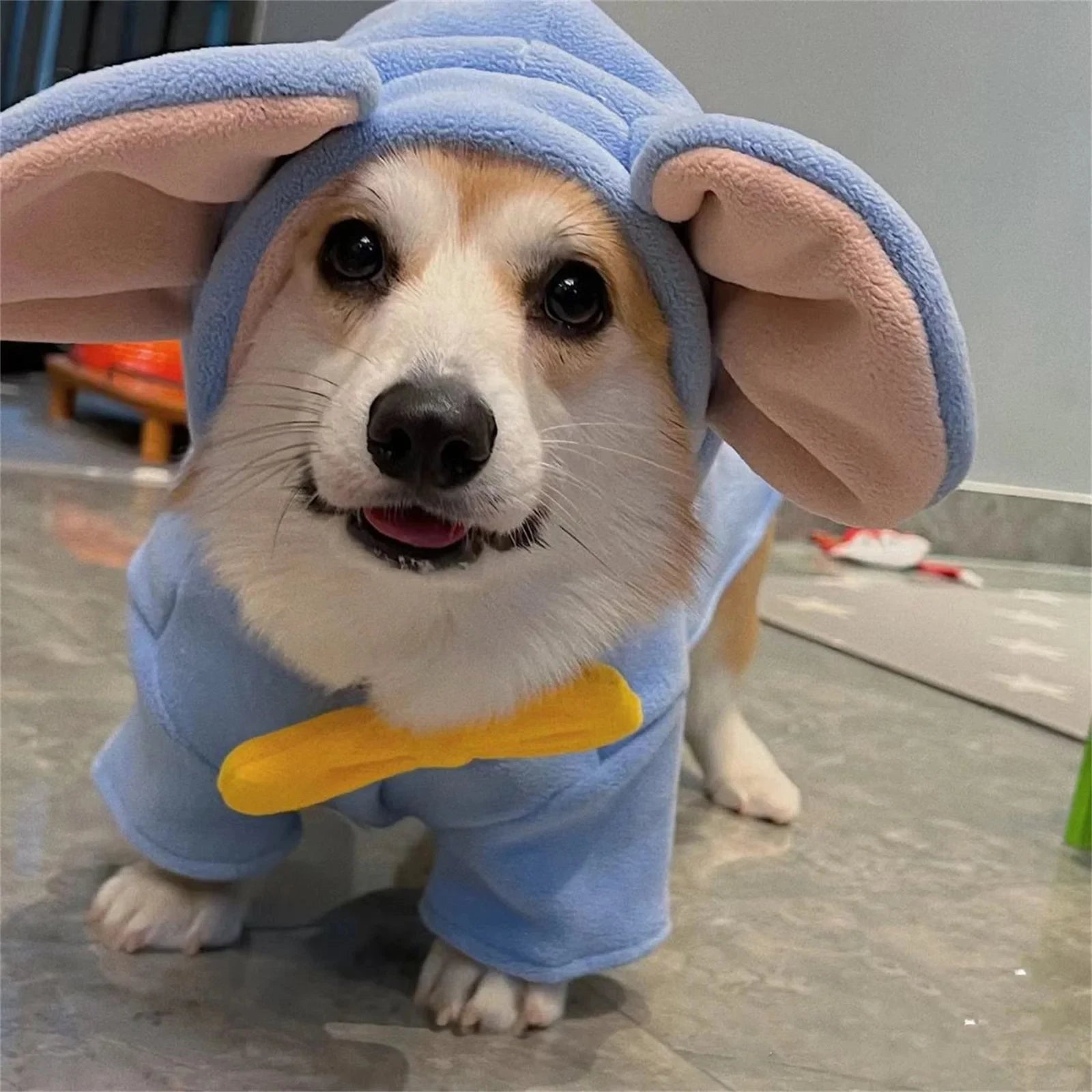 Cute dog wearing an elephant costume by Zoomies & Co, featuring large floppy ears and a friendly smile