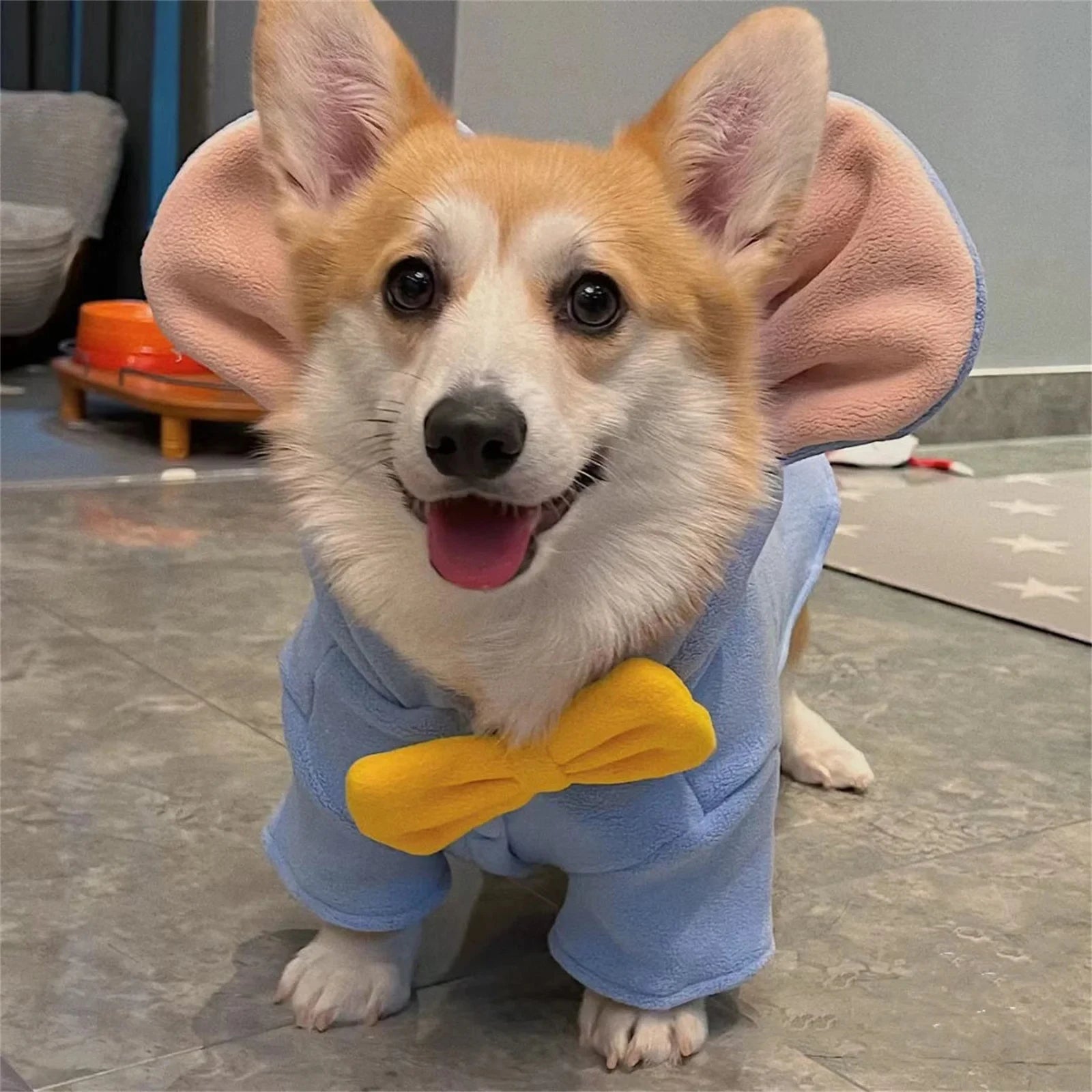 Adorable dog in an elephant costume with large ears and a bow tie from Zoomies & Co