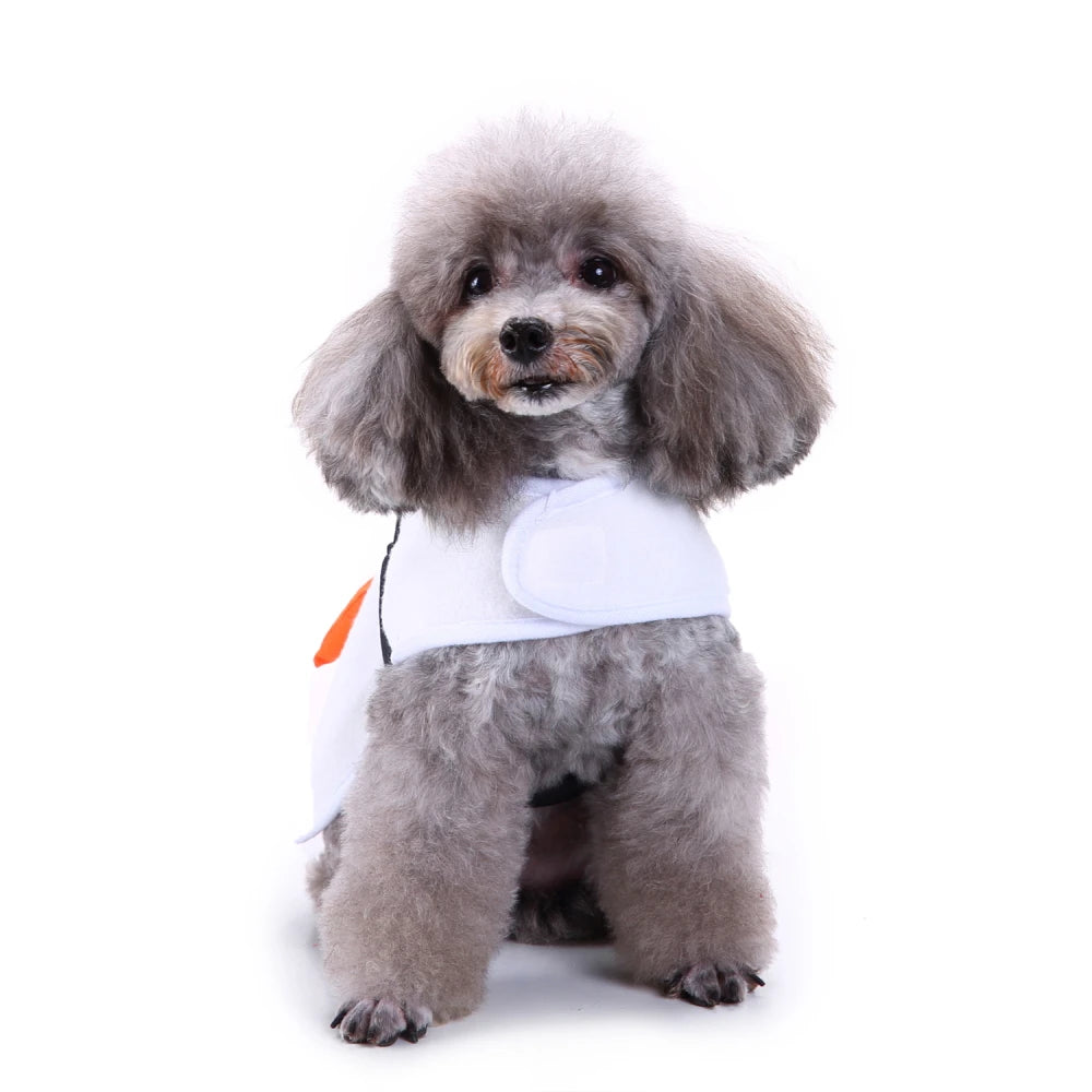 Cute dog in a shiny dog kimono chef costume with orange details for playful pet styling