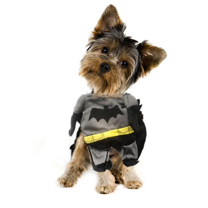 Yorkshire Terrier wearing a superhero pet costume for dogs designed as a Batman outfit