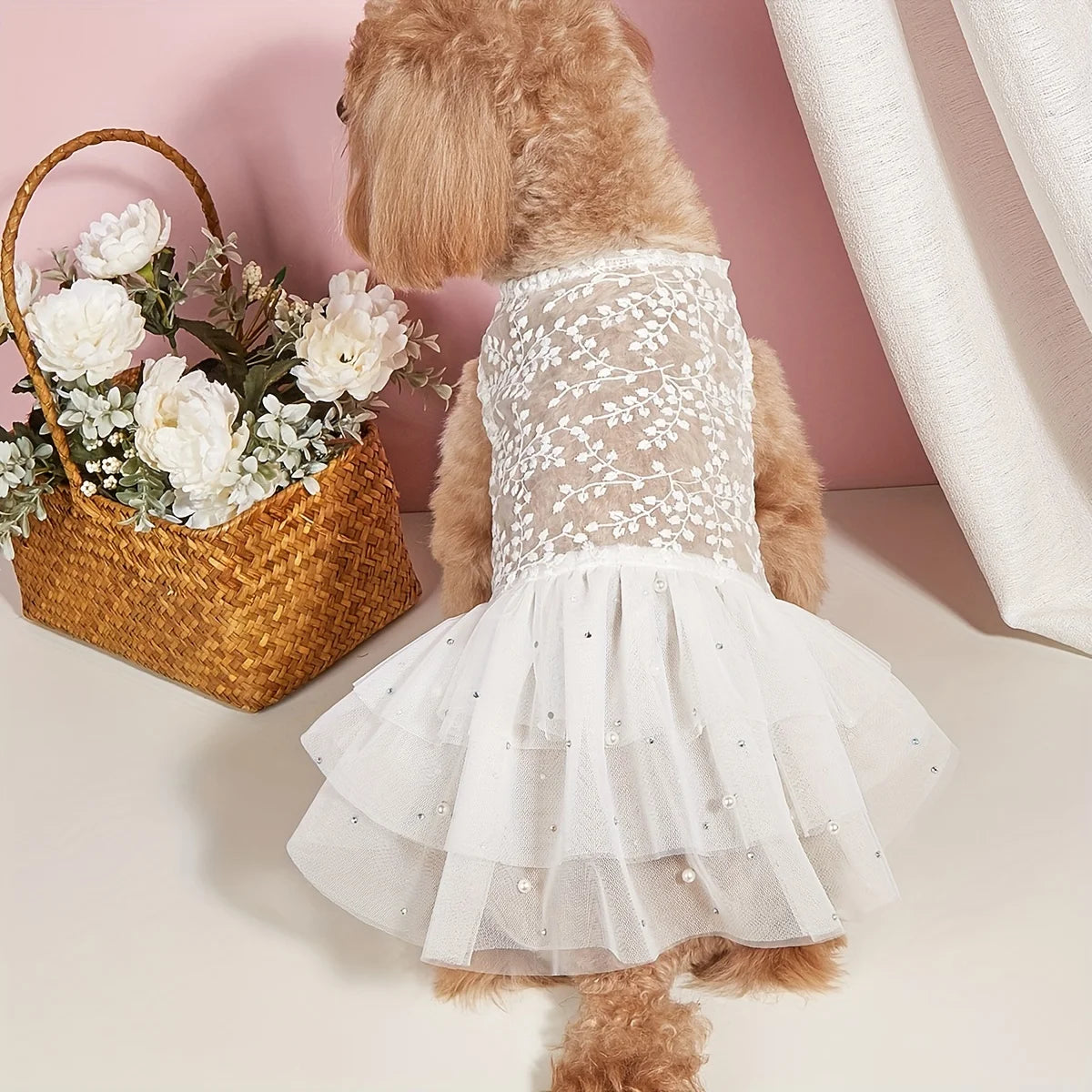 Adorable dog wedding dress in white with delicate lace and layered tulle skirt perfect for special occasions