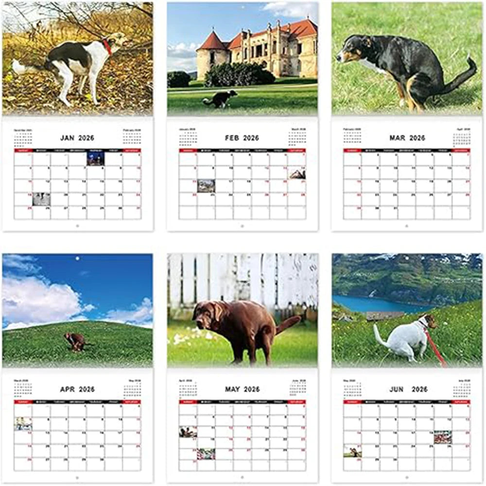 Dogs pooping in scenic places calendar featuring various breeds in beautiful outdoor settings