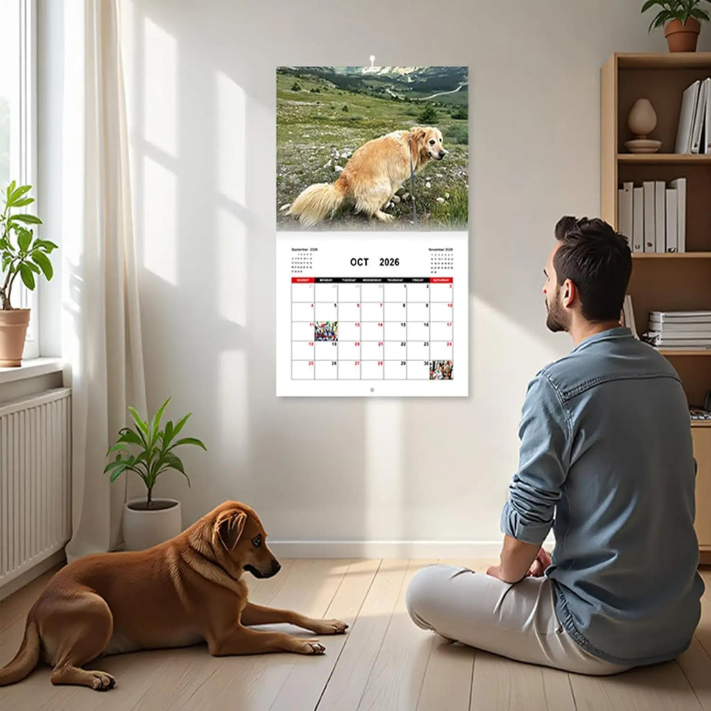 Dogs pooping in scenic places calendar hanging on the wall with a man and dog in a modern room