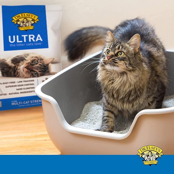 Dri Lilys Ultra Cat Litter in a litter box with a cat, featuring low dust odor control cat litter