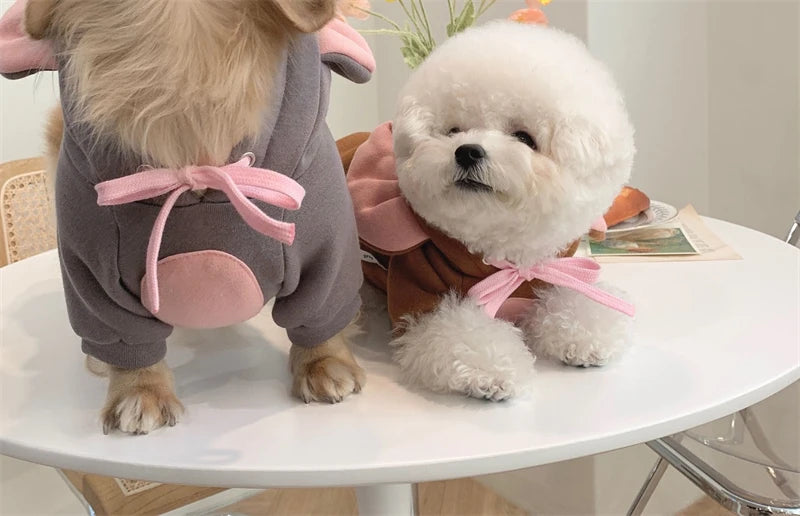 Two pets dressed in cute funny animal costumes for pets sitting on a table