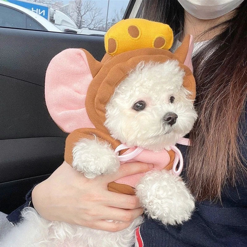 Adorable dog wearing a funny animal costume for pets with pink ears and a crown