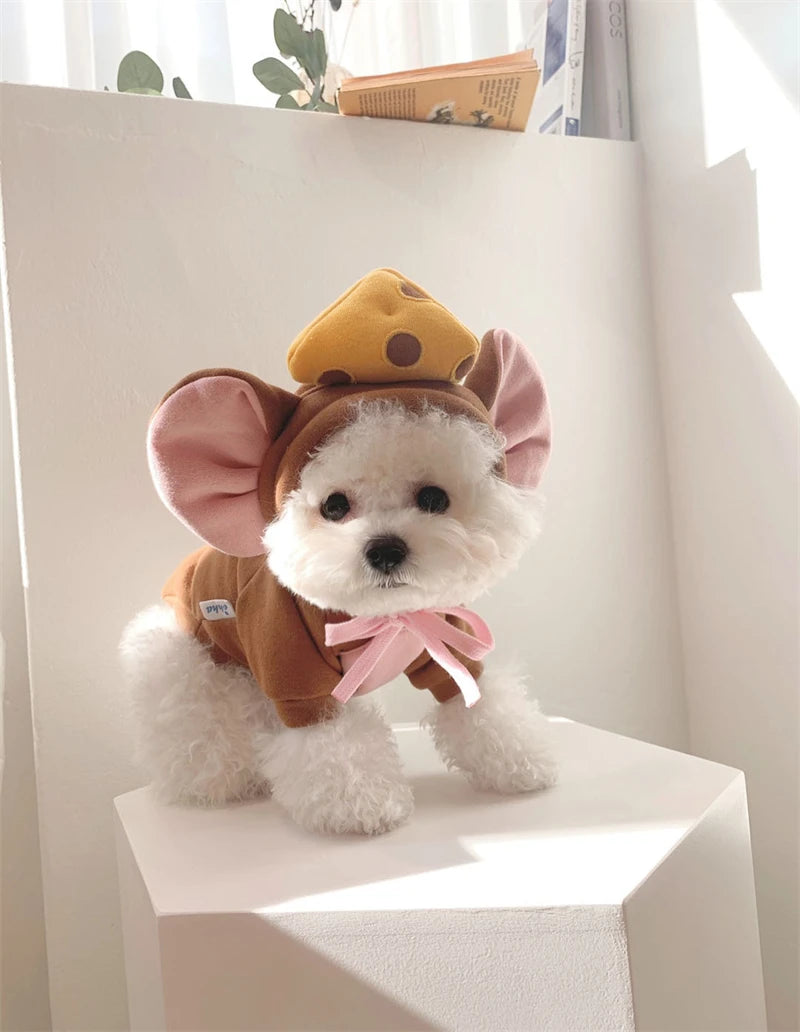 Cute pet wearing a funny animal costume for pets with mouse ears and a cheese hat