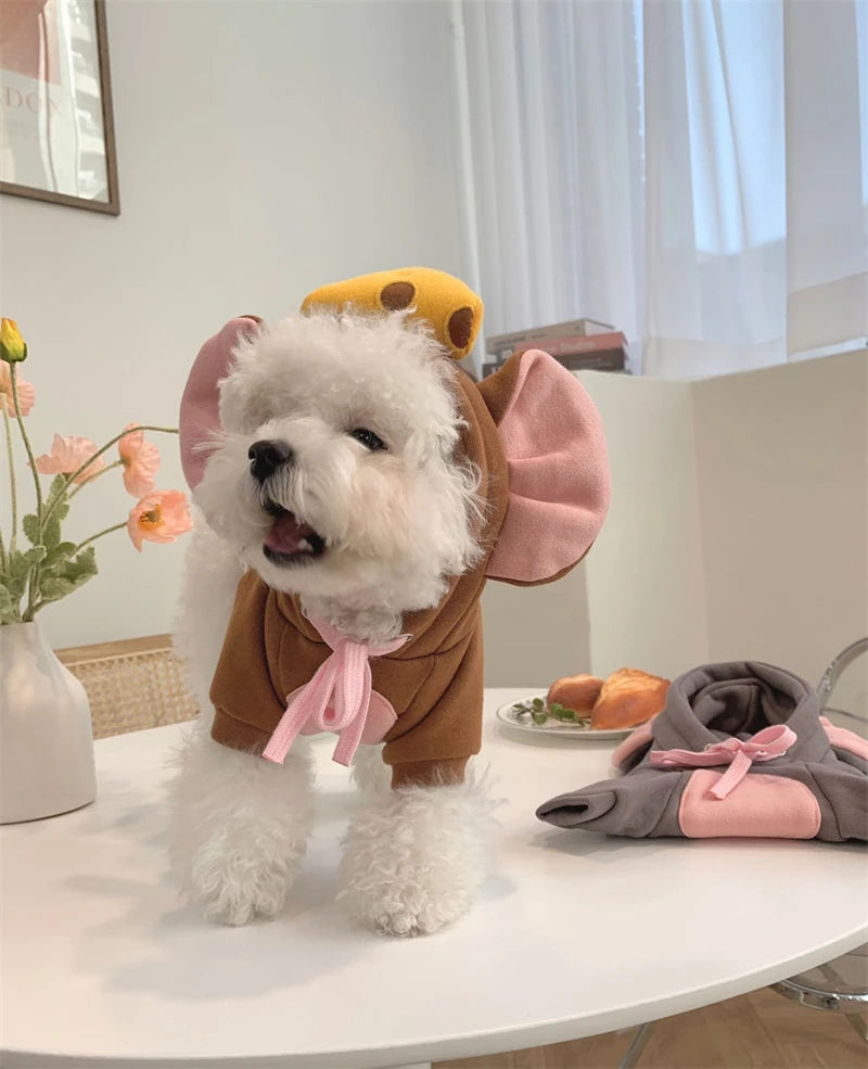 Adorable dog in a funny animal costume for pets featuring elephant ears and a cheese hat
