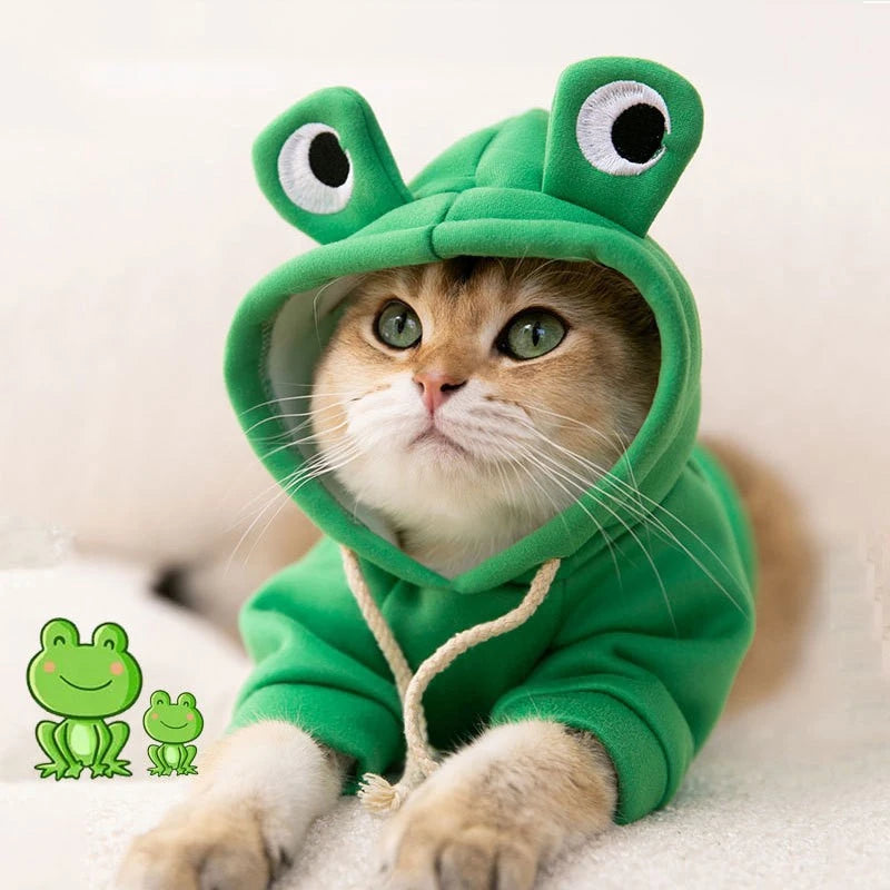 Cute cat in a green frog hoodie showcasing a funny animal costume for pets