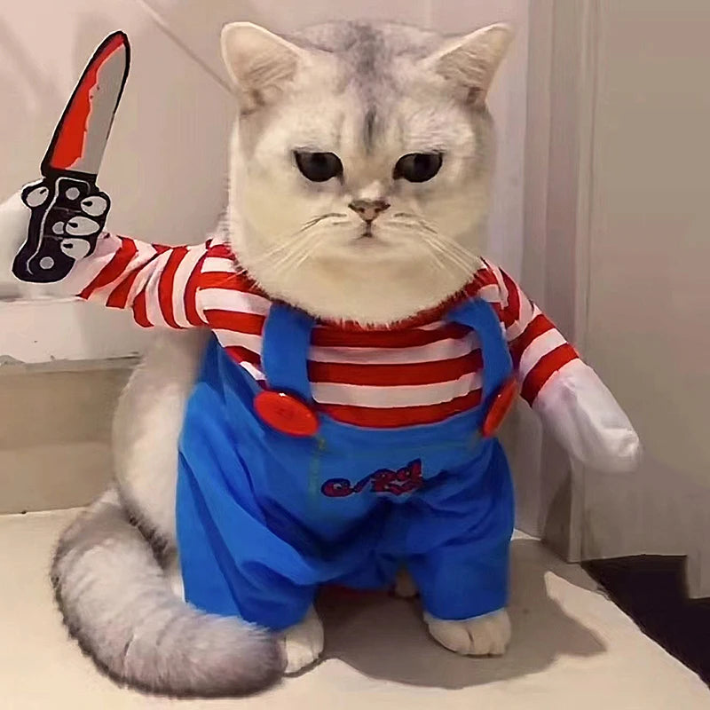 Adorable cat dressed in a funny cat Halloween costume with striped shirt and blue overalls