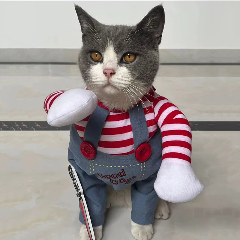 Adorable cat in a funny cat halloween costume with striped shirt and overalls