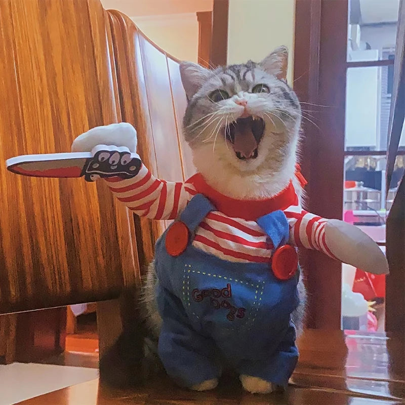 Funny cat Halloween costume featuring a cat in striped shirt and overalls, holding a toy knife