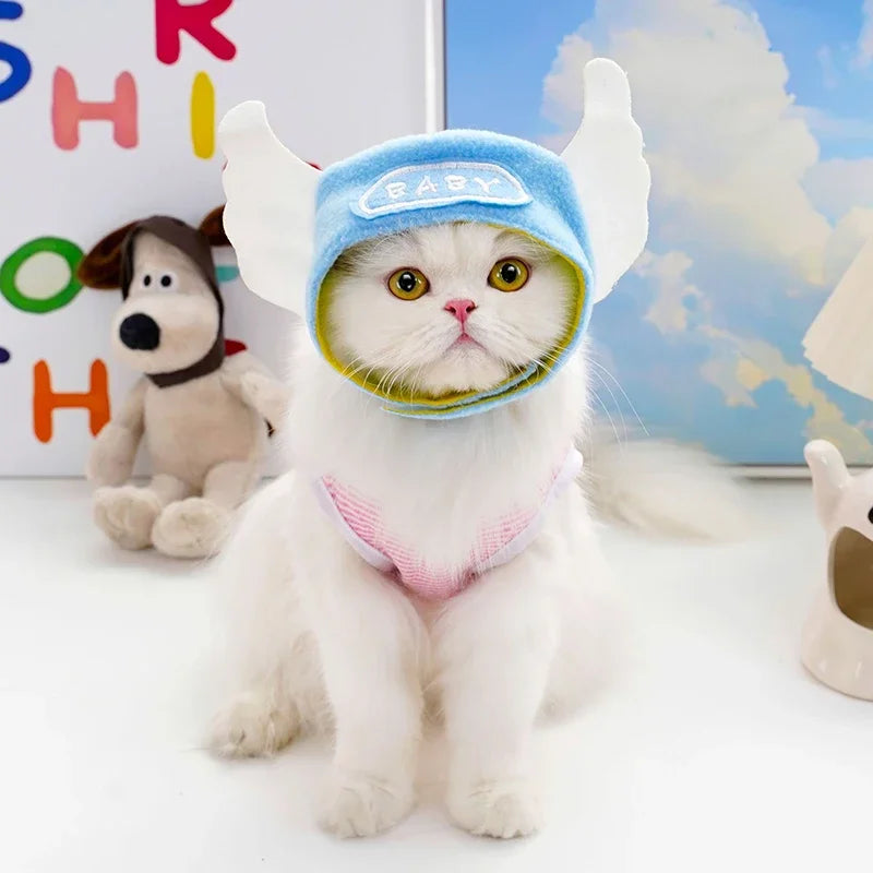 Cute white cat wearing a blue funny cat hat for costumes with wing details