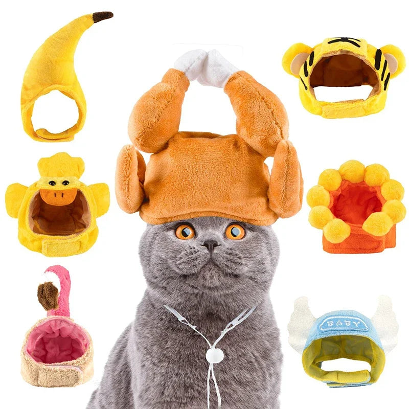 Funny cat hats for costumes featuring various animal designs and vibrant colors for playful pets