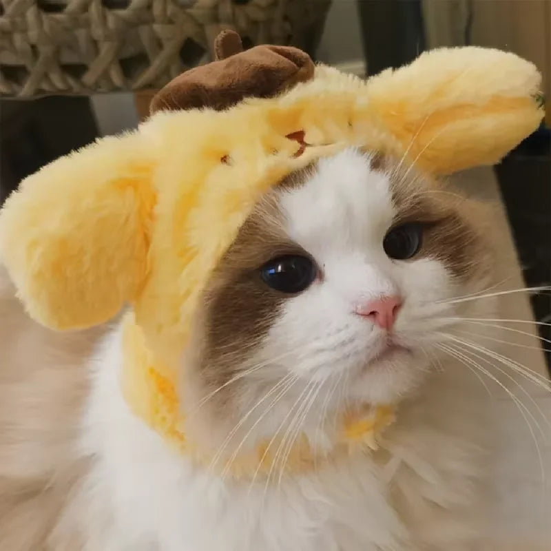 Adorable fluffy cat wearing a yellow funny cat hat for costumes with ear details
