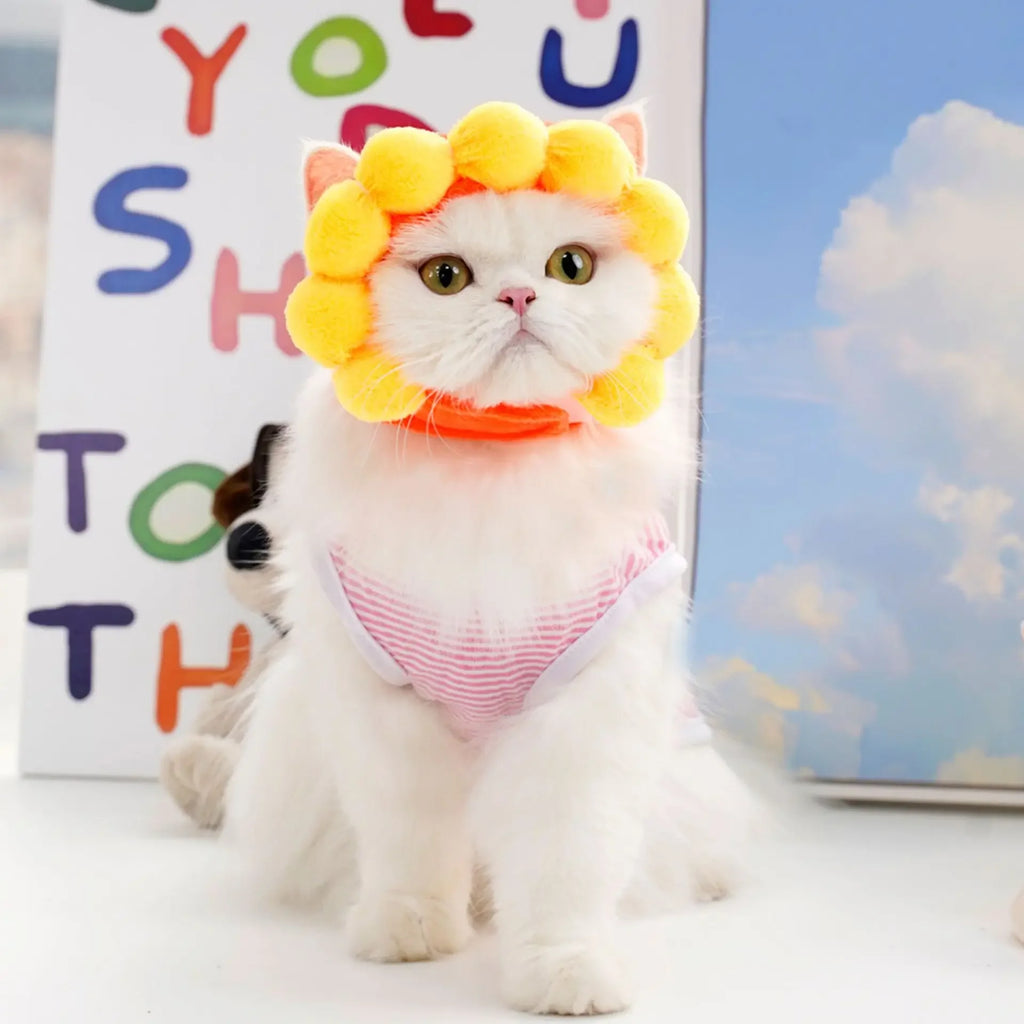 Cute feline in a fluffy yellow funny cat hats for costumes with a playful expression