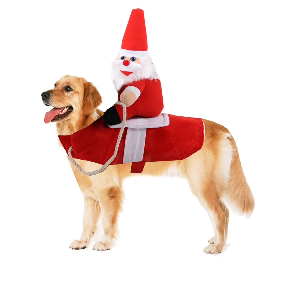 Golden retriever in a funny dog costume for Halloween featuring a Santa with a sleigh