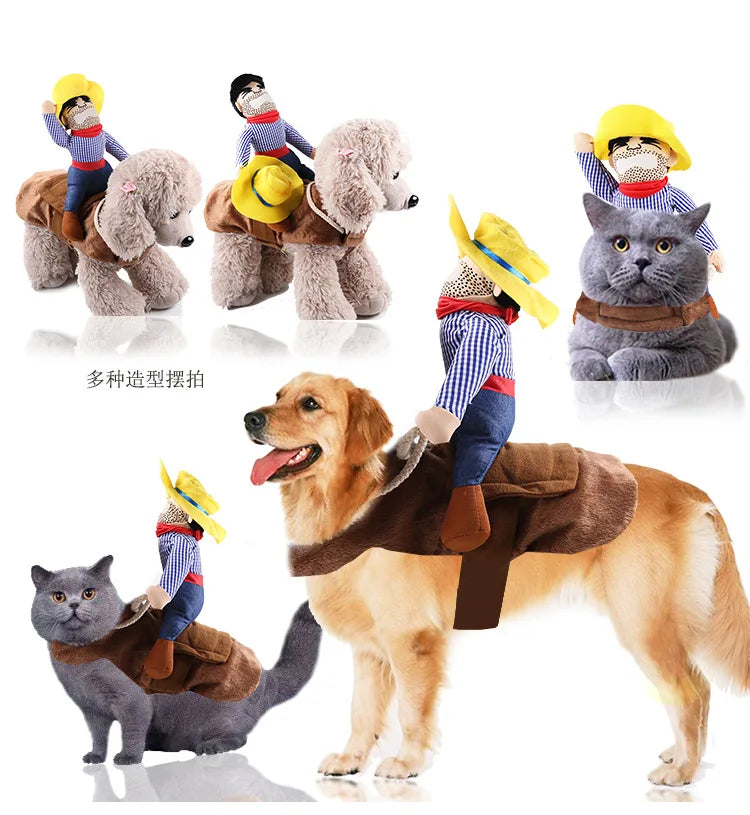 Funny dog costumes for Halloween featuring plush cowboy riders on various breeds