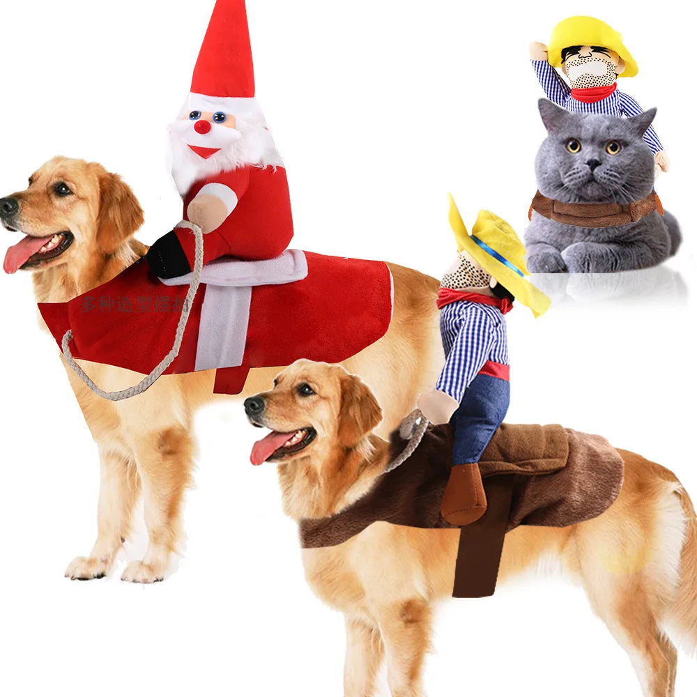 Two dogs dressed in funny dog costumes for Halloween with festive riders and playful designs