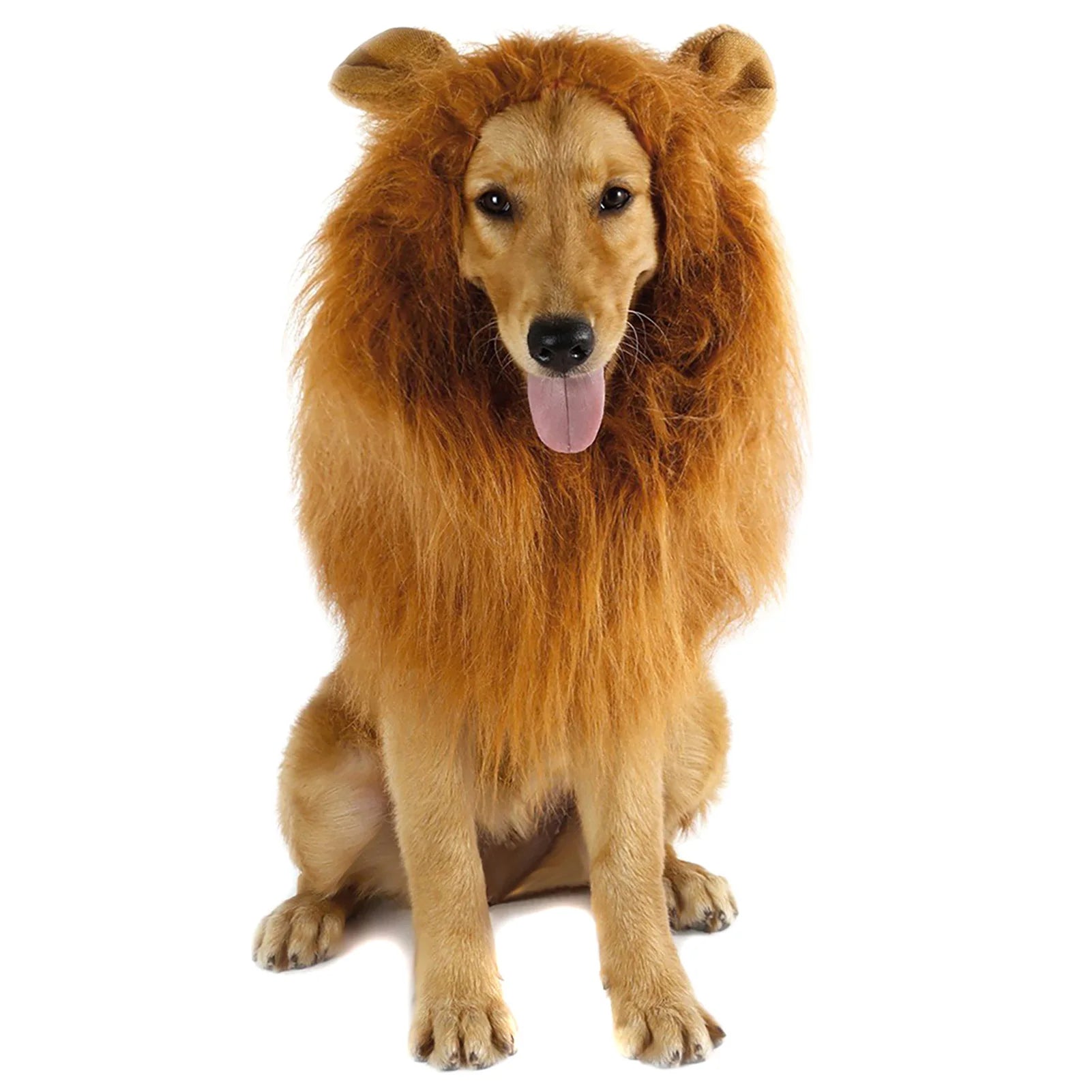 Funny pet costume for cats and dogs featuring a fluffy lion mane for playful pets